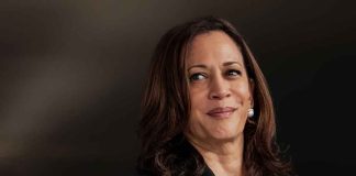 Unexpected Cabinet Addition by Kamala Harris Sparks Bipartisan Dialogue