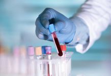 Gloved hand holding a blood sample test tube.