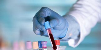 Gloved hand holding a blood sample test tube.