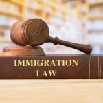 Gavel on immigration law book in library