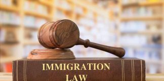 Gavel on immigration law book in library