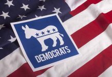 Democratic Party symbol on American flag background