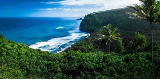 Beautiful coastal landscape with lush greenery and ocean waves