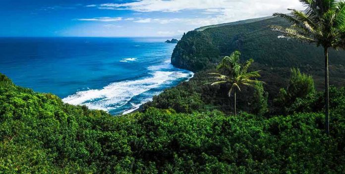 1564351768 Beautiful coastal landscape with lush greenery and ocean waves