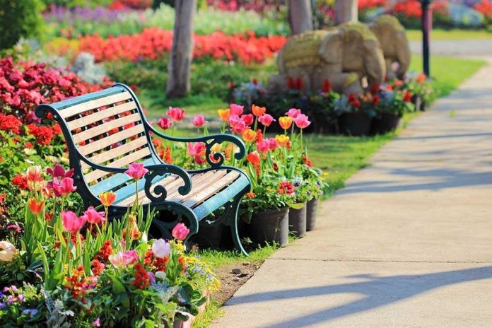 shutterstock_95400382.jpg A decorative garden bench surrounded by vibrant flowers in a park