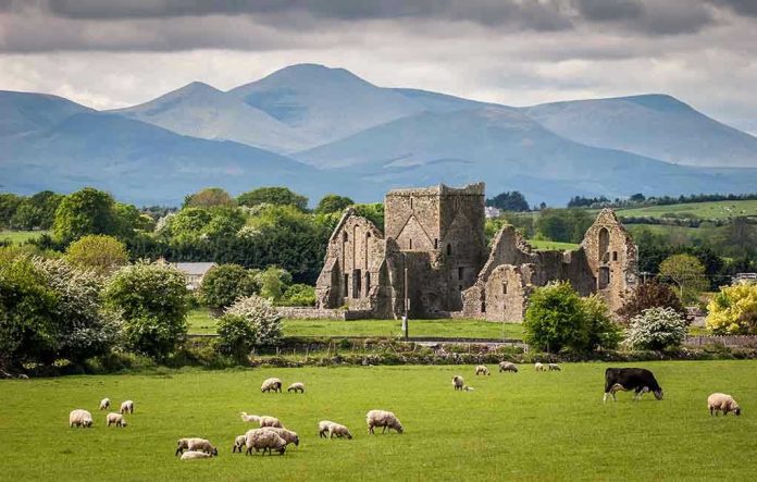130088723 ireland