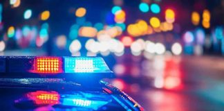 WATERFRONT MASSACRE Stuns Vacation Hotspot – 3 DEAD! Police car with flashing lights at night.