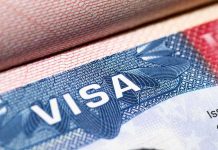 Governor Drops H-1B Bomb on Universities visa