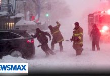 Travel expert reveals must-have items for your vehicle during