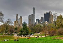 People relaxing in a park, city skyline background.