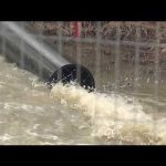 Sewage Tsunami: Potomac River Devastation 'Ecological disaster': Officials testify on Potomac sewage spill