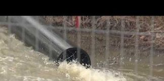 'Ecological disaster': Officials testify on Potomac sewage spill