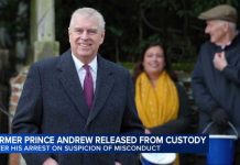 Former Prince Andrew released from custody