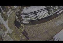 Murdered Millionaire—Why a Caregiver Turned Killer Montgomery County police release video of suspect in