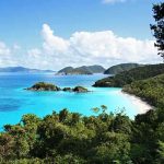 Scenic view of a tropical beach with clear blue water and lush greenery