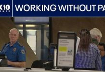 Musk Steps In–TSA Chaos Explodes