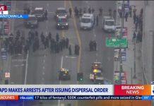 Protest Turned Violent – Federal Agents Attacked in LA Police arresting 'No Kings' protesters amid standoff in