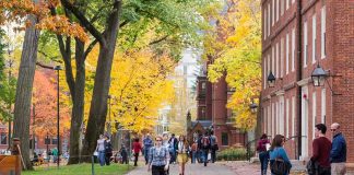 Musk Declares War on College Degrees People walking on a college campus in autumn.