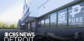 Masked Arsonists Ignite Themselves in Dispensary Attack Investigators search for suspects who crashed SUV into Michigan dispensary