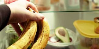 Banana Pipeline Outsmarts Borders—Again Hand holding two ripe bananas in a refrigerator