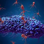Cancer Comeback Crushed? Modena-Merck Twist Bacteriophage viruses attacking a bacterium