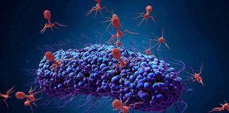 Cancer Comeback Crushed? Modena-Merck Twist Bacteriophage viruses attacking a bacterium