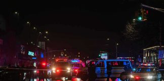Nighttime police scene with flashing lights on a wet city street