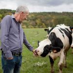 Trump Torches Prices, Rattles Cattle Country Man petting a Holstein cow in a grassy field