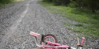 THC Gummies Used On Children? Pink children's bicycle with training wheels lying on a gravel path
