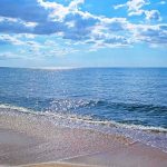 Tropical Venomous Snake Hits SoCal Shore Sandy beach with gentle waves under a bright blue sky