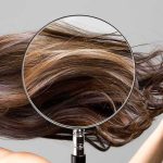 Doodle Owner ANGER Erupts Over Hidden Costs Magnifying glass highlighting long brown hair