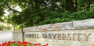 Cornell University stone entrance sign with red flowers