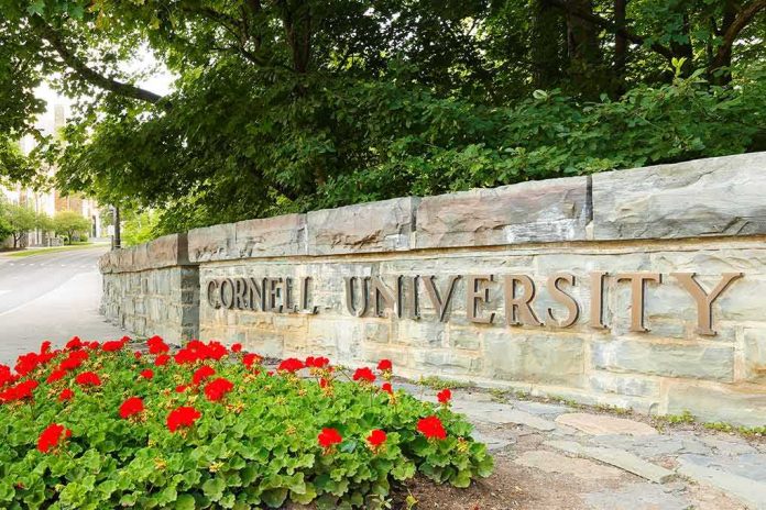 Cornell University stone entrance sign with red flowers