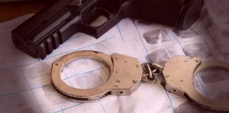 Grandma Kingpin? Senator’s Wild Pot Ring Handcuffs on fingerprint sheets beside a handgun