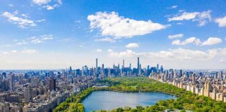 Judge Greenlights 500-Tree Purge Central Park with Manhattan skyline on a sunny day